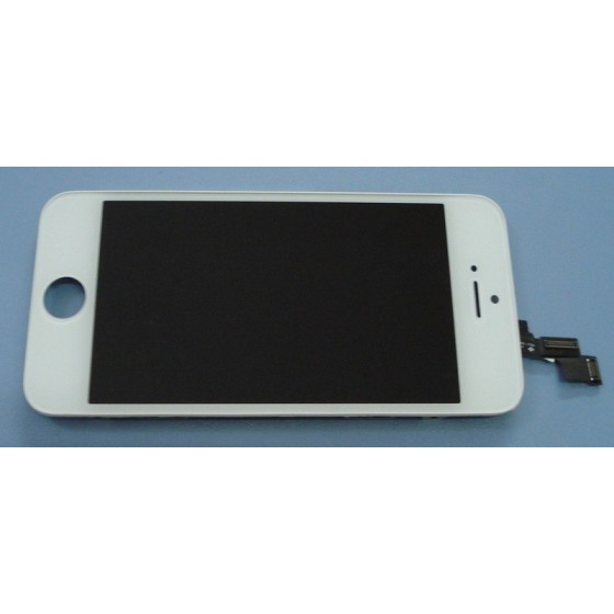 Display iPhone 5S alb swap