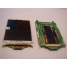SAMSUNG Z240