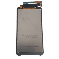 Display Zebra Terminal...