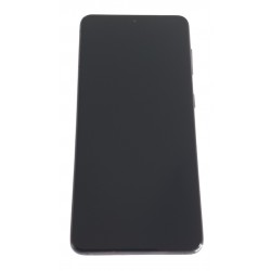 Display Samsung Galaxy S21 G991