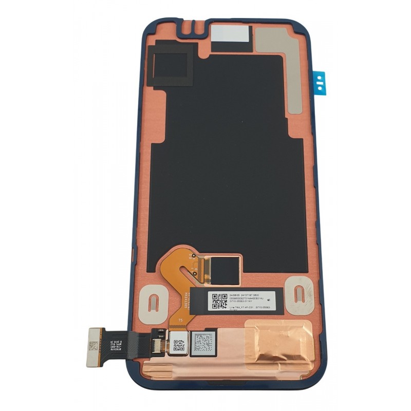 Display Google Pixel 9 5G