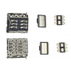 copy of Placa alimentare...