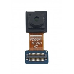 copy of Rama cu antene...