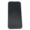 Display iPhone 16 Pro