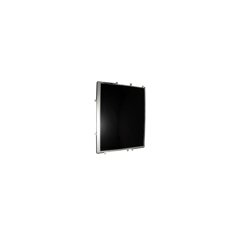 Display Apple iPad LCD