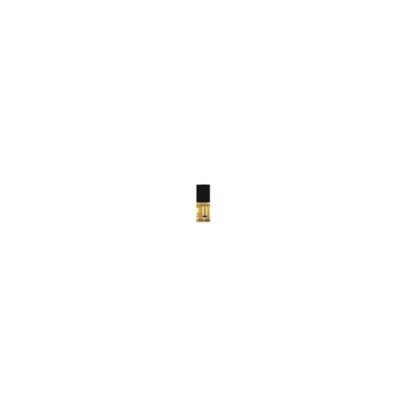 Display Samsung GT-S3110 LCD