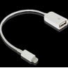 Cablu Otg Iphone 5